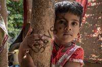 تورم بی سابقه و قیمت های سرسام آور باعث ناامنی غذایی بیش از 6 میلیون نفر از سریلانکایی ها شده است.